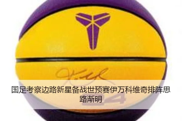 国足考察边路新星备战世预赛伊万科维奇排阵思路渐明
